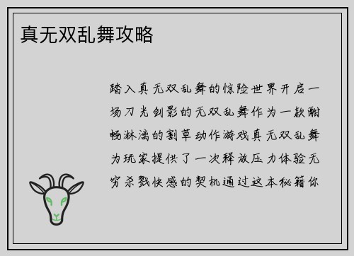真无双乱舞攻略